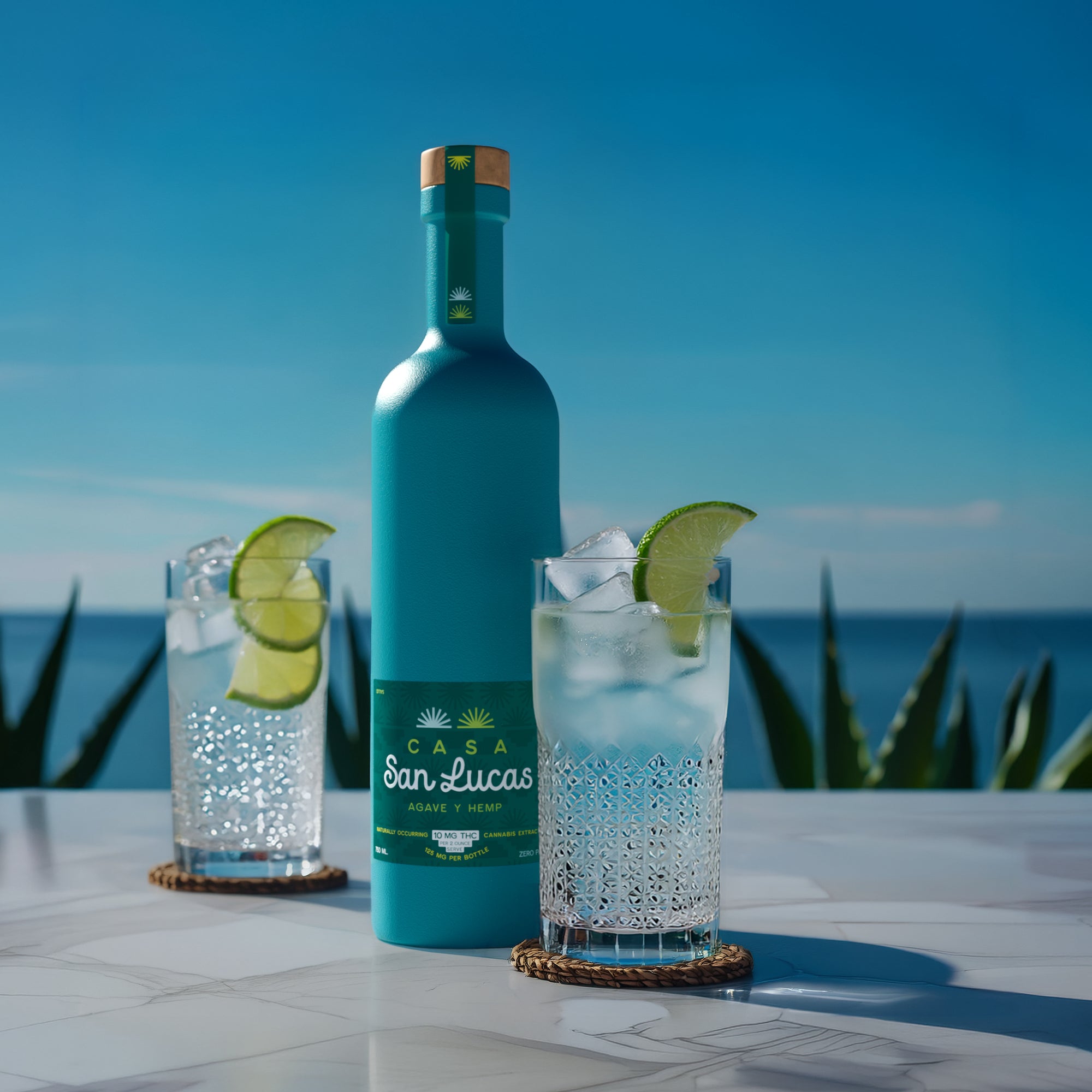 Margarita 5mg - 6 Pack – Casa San Lucas